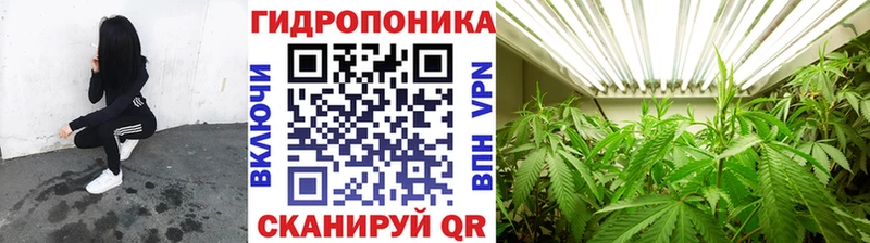Наркошоп Владимир Кокаин  Галлюциногенные грибы  blacksprut как войти  Меф 