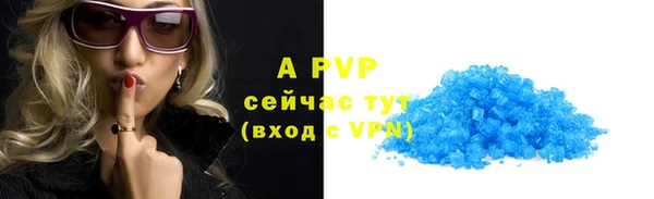 дживик Порхов